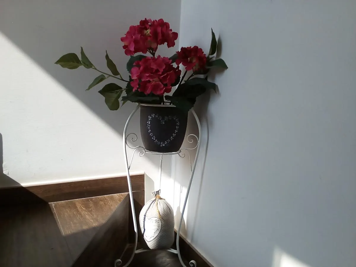 Couette-café B&B La Maison Del Borgo Antico Bari Italie