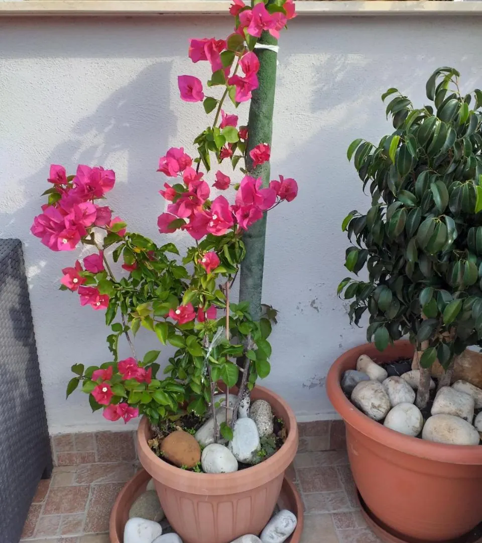 B&B La Maison Del Borgo Antico Bari 0*,  Italie